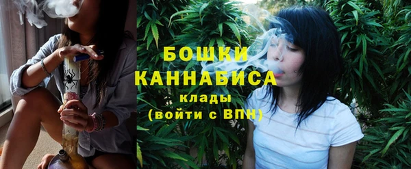 молекула духа Белоозёрский