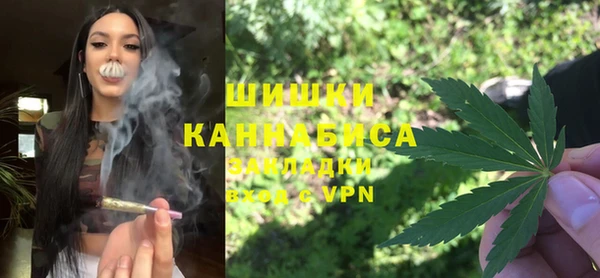 молекула духа Белоозёрский