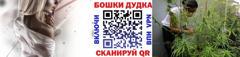 hydra ссылка  Ковдор  сайты даркнета официальный сайт  купить закладку  Бошки марихуана гибрид 